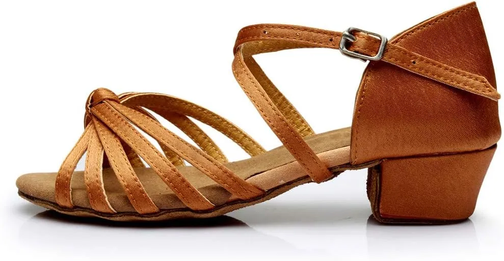 Chunky Dress Shoes for Women Open Toe Latin Dance Shoes Professional Ballroom Sandals Low Block Heeled Sandals