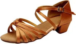 Chunky Dress Shoes for Women Open Toe Latin Dance Shoes Professional Ballroom Sandals Low Block Heeled Sandals